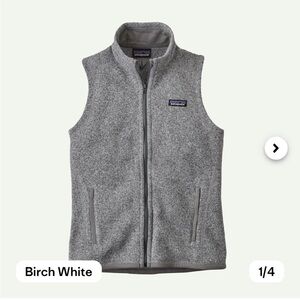 Patagonia Birch White Fleece Vest
